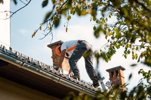 Best Tile Roofing Contractor  in Earlvle, IL