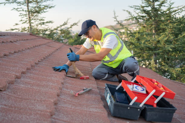 Best Flat Roof Repair Services  in Earlvle, IL