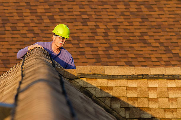 Best Emergency Roof Repair  in Earlvle, IL
